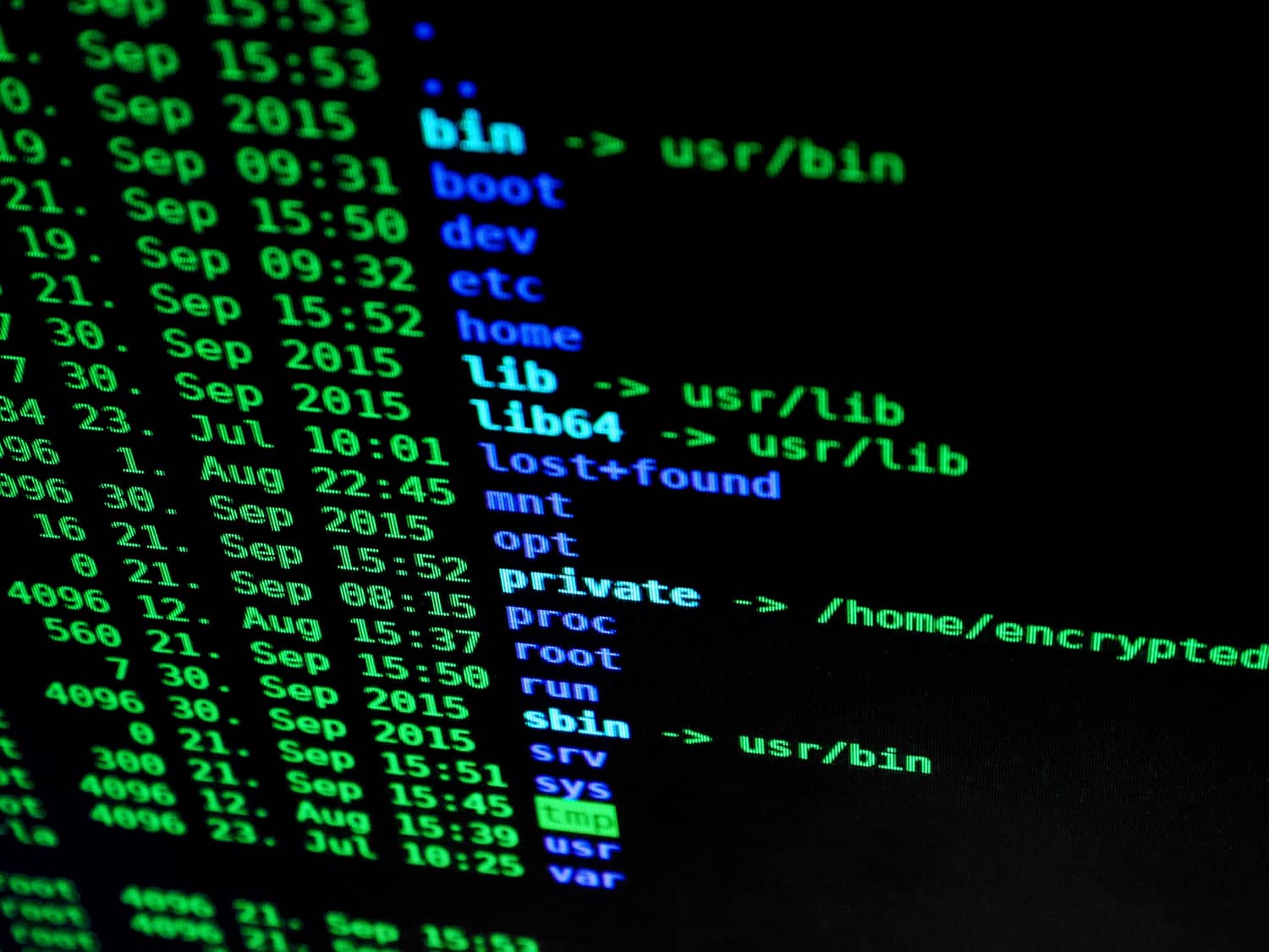 The IT Leader's Guide to Future-Proofing Technology Investments